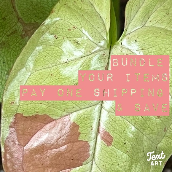 A BUNDLE = 2 or more items - Picture 14 of 16